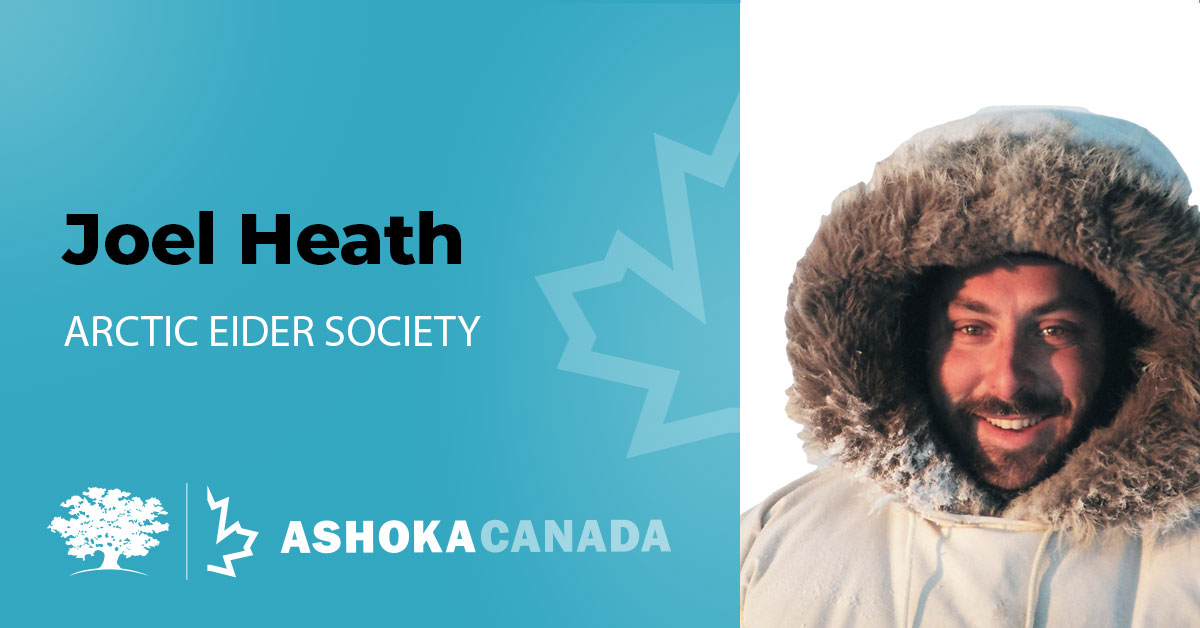 Joel Heath | Arctic Eider Society | Ashoka Canada Fellow